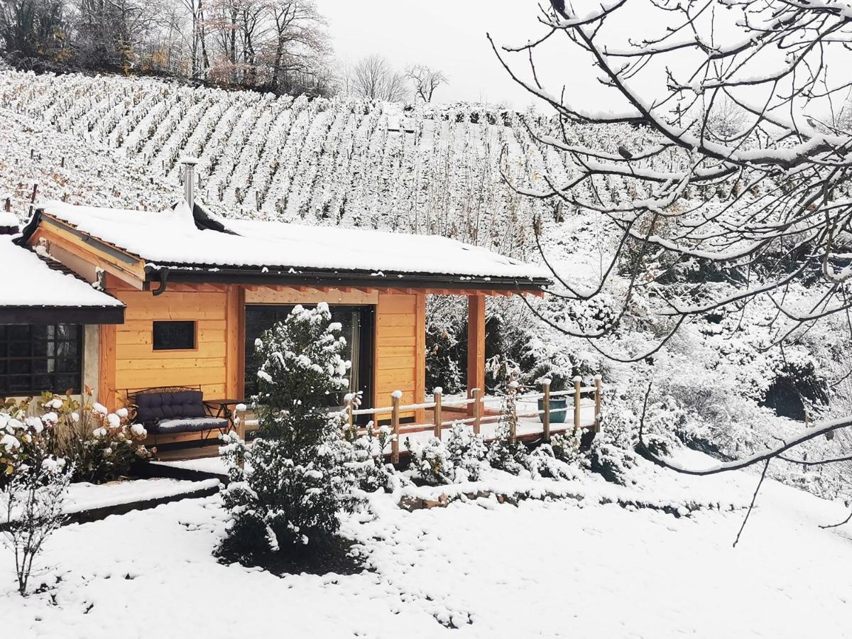 L'Etang De La Tourne Bed & Breakfast Les Marches Exterior photo